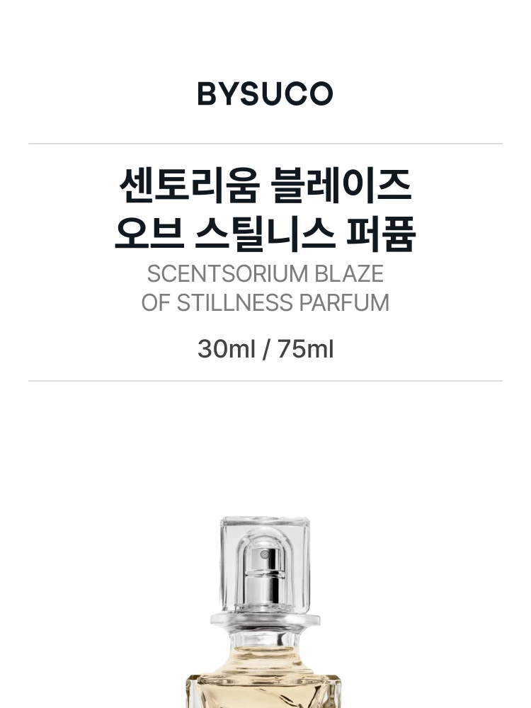 메종 마르지엘라 센토리움 블레이즈 오브 스틸니스 퍼퓸