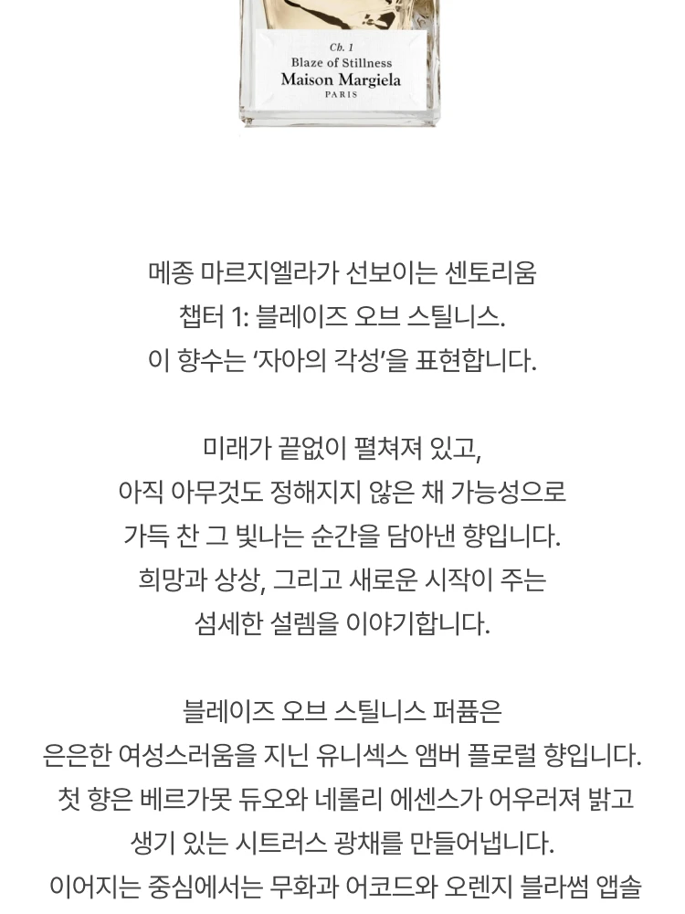 메종 마르지엘라 센토리움 블레이즈 오브 스틸니스 퍼퓸