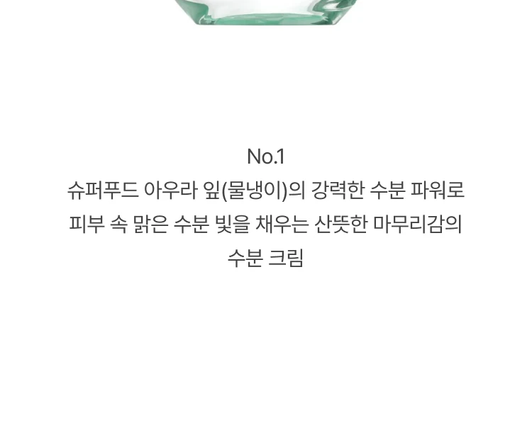 비오템 아쿠아수르스 수분 크림