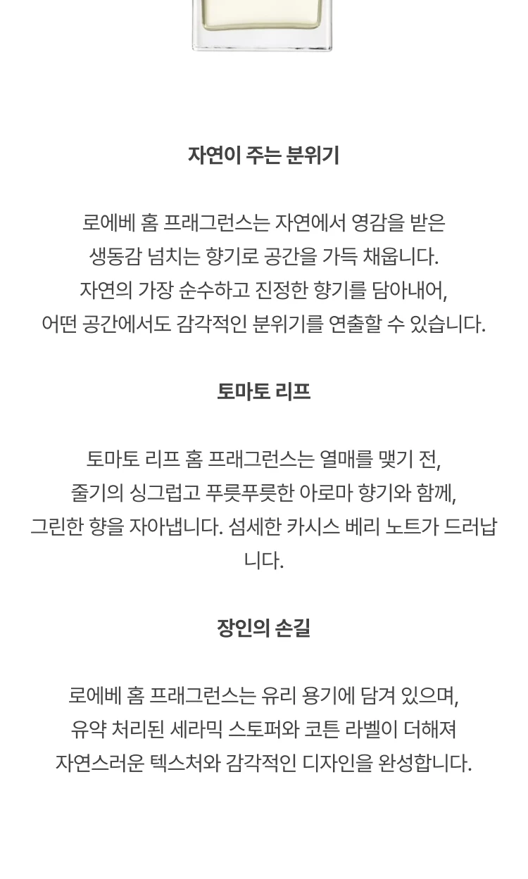 로에베 홈 프래그런스 토마토 리프