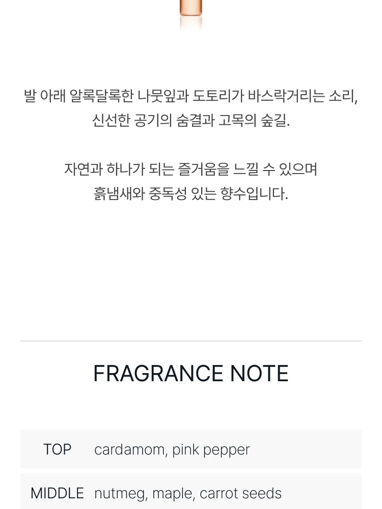 메종 마르지엘라 어텀 바이브 오 드 뚜왈렛